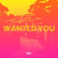 Mule - Wanted You