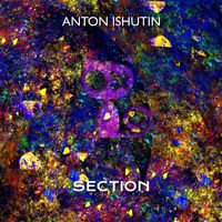 Anton Ishutin - Section