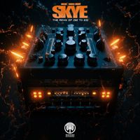 Dj Skye - The Remix ep (92 to 23)