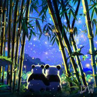 Driftwood - Bamboo Breeze