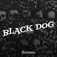 Broken - Black Dog