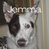 Forest - Jemma