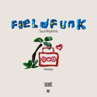 FieldFunk - Soul Rhythms