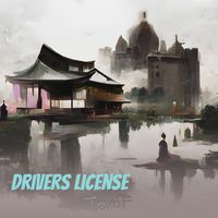 PLAT-B - Drivers License