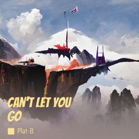 PLAT-B - Can't Let You Go