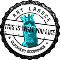 ANT LaROCK - This Is What You Like