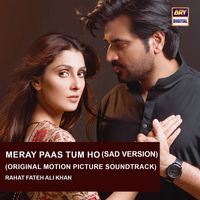 Rahat Fateh Ali Khan - Meray Pass Tum Ho (Sad Version) [Original Motion Picture Soundtrack]