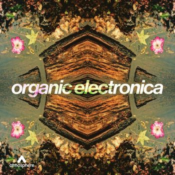 Rainman - Organic Electronica