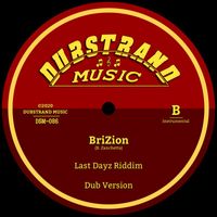 Brizion - Last Dayz Riddim