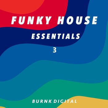 Various Artists - Funky House Essentials 3