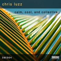 Chris Luzz - Calm, Cool, & Collective