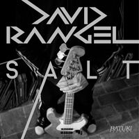 David Rangel - Salt