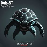 Dub-ST - Digital Rhythms