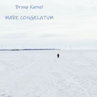 Bruno Karnel - Mare congelatum