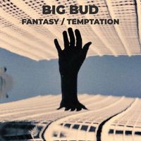 Big Bud - Fantasy / Temptation