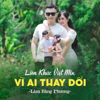 Lâm Băng Phương - Liên Khúc Việt Mix - Vì Ai Thay Đổi