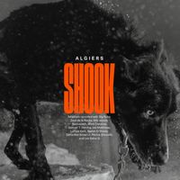 Algiers - Shook (Deluxe Edition [Explicit])