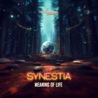 Synestia - Meaning Of Life