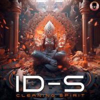 ID-S - Cleanin Spirit