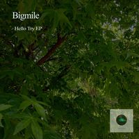 Bigmile - Hello Try EP