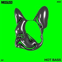 MADGUSS - Hot Bass