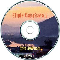 Tom Newman - Etude Capybara 1
