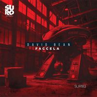 David Bean - Faccela