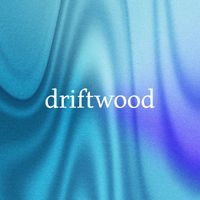 driftwood - redwood (ocean)