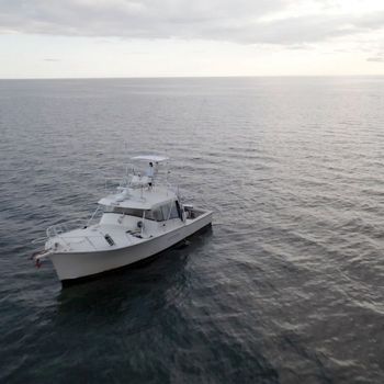 DICI - Do What I Can (Explicit)