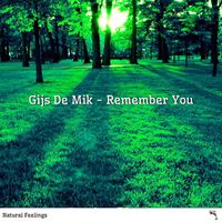 Gijs De Mik - Remember You