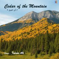 Imran Ali - Cedar Of The Mountain