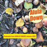 Alula Down - Postcards from Godley Moor, Autumn 2020