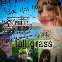 Madge feat. Portugal. The Man - TALL GRASS (Explicit)