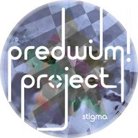 PredWilM! Project - Stigma