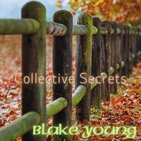 Blake Young - Collective Secrets