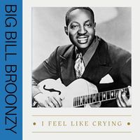 Big Bill Broonzy - I Feel Like Crying