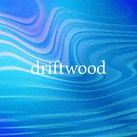driftwood - el capitan (ocean)