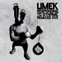 UMEK - Responding to Dynamic (Remixes Dve)