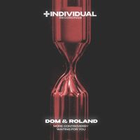 Dom & Roland - More Controversy / Waiting For You