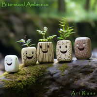 Ari Ross - Bite-Sized Ambience