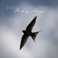 Harmonic Pathways - Bird of Passage