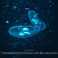 Cozy Flames - Underwater Sounds for Relaxation