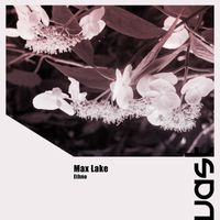 Max Lake - Ethno