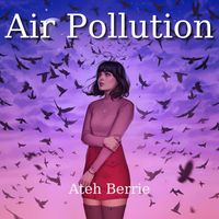 Ateh Berrie - Air Pollution