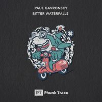 Paul Gavronsky - Bitter Waterfalls