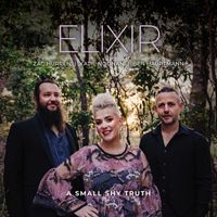 Elixir - A Small Shy Truth