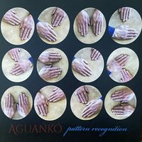 Aguankó - Pattern Recognition