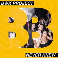 BWK Project - Never Knew