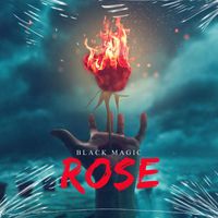 Black Magic - Rose