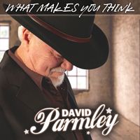 David Parmley - What Makes You Think